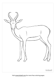 Antelope coloring pages, we have 8 antelope printable coloring pages for kids to download Antelope Coloring Pages Free Animals Coloring Pages Kidadl
