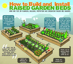 Diy Raised Beds Infographic Grow Food Anywhere Vegetable Garden Raised Beds Raised Garden Bed Plans Vegetable Garden Beds
