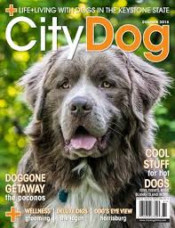 No subtance or liquid can penetrate it. Citydog Philly Summer 2018 Issue By Citydog Magazine Issuu