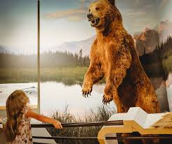 For many years the phrase don't let the bedbugs bite! was simply a saying; Education Spotlight Cook Museum Of Natural Science Rocket City Mom