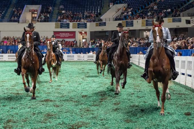 KSF World's Championship Horse Show returns to Louisville | PHOTOS