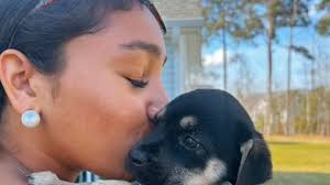 Fundraiser by Nariah Fry : Give Caro a Forever Home with Nariah