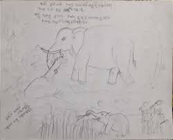 5 out of 5 stars (270) $ 18.99 free shipping favorite add to. Analysing Drawings With Maxqda Human Elephant Interaction Research Maxqda