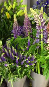 We deliver flowers same day throughout cardiff, south glamorgan area and all our deliveries are made by hand. Hearts And Flowers Home Facebook