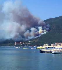 Muğla'nın marmaris ilçesinde orman yangını çıktı. Go7enc1wglwxm