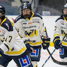 Formerly elitserien), the top tier of swedish ice hockey. Dam Good Veteran Danielle Stone Has 5 Point Outburst For Hv71 The Ice Garden