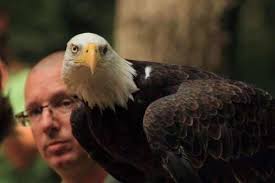 Sign my petition to encourage the Carbon County Commissioners, Jim Thorpe  Borough Council and Carbon Chamber & Economic Development Corporation to  fully research the feasibility, sustainability and funding for a  multi-level parking