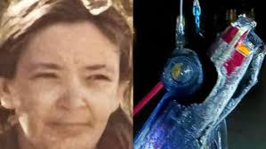 Maureen Sherman, missing woman, found when car pulled from Miami canal