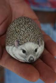 Hedgehog Marianne Vick Painted Rock Animals Painted Rocks Kids Rock Painting Art