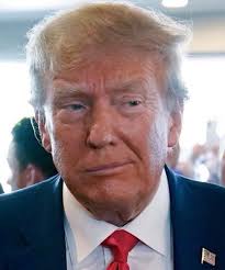 bob riddell (@bobriddelllive)