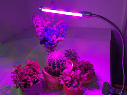 Led Grow Light Chip Grow Lights For Plants Indoor Grow Lights Grow Lights