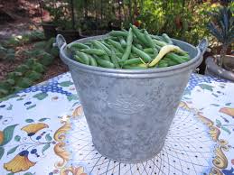 We did not find results for: What To Do With Overgrown Green Beans Gardenerd