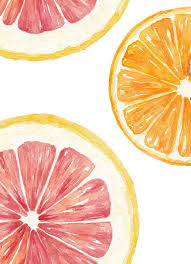 Grapefruit Orange Watercolor Illustration Food Watercolor Illustration Food Illustration Art Art