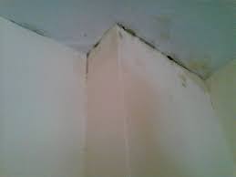 Im schlafzimmer wird schimmel als besonders unangenehm empfunden. Schimmel Entfernen Im Schlafzimmer Wie Wand Sauberkeit Tapete