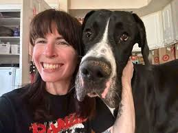 What to feed a dane with digestive issues?