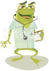 Doctor Frog In The House The Ultimate Animal Doctor Frog Illustration Frog Art Cute Frogs
