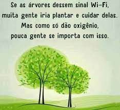 Abandonado de total destruição, e tu, predador de ti mesmo, olharás a terra em tua volta. Jeffersonkulig Natureza Arvore Meio Ambiente Frases Frases Frases E Mensagens