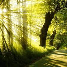 Mar 10, 2021 · this is only a small selection of all the incredible places in new jersey where we can relax in nature, dozens more could be added to the list! Nature Calm Music Sounds Relaxation Background Music On Podimo
