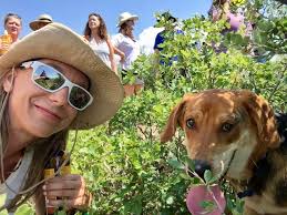 Media — MariDew.com