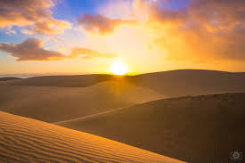 Download in under 30 seconds. Desert Sunset Background High Quality Free Backgrounds