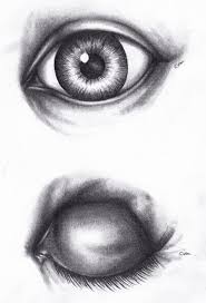 One of their classes is creature anatomy which is all about using real anatomy to inform made up creature design. Eeva Maria Apilo Anatomy Practice Human Body Parts Visual Arts Drawings For School
