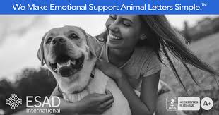 We are seeing an increased demand for pet food pouches and are working hard to maintain stock levels. We Make Emotional Support Animal Letters Simple