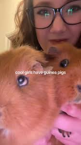 Massive Guinea Pig Trend with Ryuk