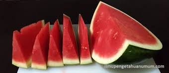 We did not find results for: Kandungan Gizi Buah Semangka Dan Manfaat Buah Semangka Bagi Kesehatan Ilmu Pengetahuan Umum