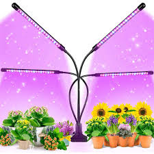 Maybe you would like to learn more about one of these? 7 Best Grow Lights For Indoor Plants 2021 Led Fluorescent