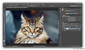 Adobe Photoshop Cs2 скачать бесплатно русская версия без регистрации 2