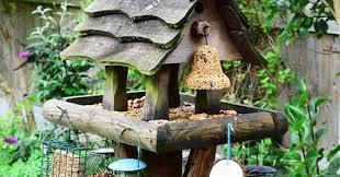 Check spelling or type a new query. 6 Easy Steps To Bird Feeder Setup What Birds Are In My Backyard