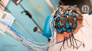 Monkeybrains has reliable, fast internet and the price is very reasonable. Pioneering Brain Study Reveals Software Differences Between Humans And Monkeys