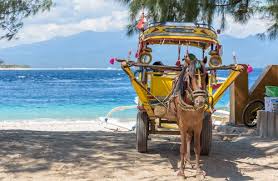 In bali, hordes of weekending australians had long since ruined everything south of canggu, but lombok was supposedly untainted. Senggigi To Gili Trawangan Book Your Combo Tickets Online Gili Islandtransfers Com