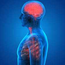 Customers can use the carecredit credit. All Scans Pet Imaging Institute