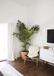 Maybe you would like to learn more about one of these? Ideas To Decorate Indoor Plants In Your Living Room Roohome