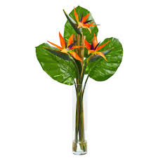 Bird Of Paradise Bouquet Care Online Shopping Bedding Furniture Electronics Jewelry Clothing More Artificial Birds White Flower Arrangements Birds Of Paradise Flower