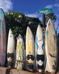 Their boats are well maintained and equipped with state of. My Quest For The Best Fish Tacos In Hawaii La Muse Blue