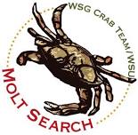 Molt Search Training: Birch Bay