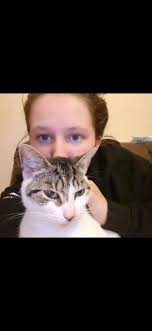 Anyone know if Creature Comforts Boarding is still