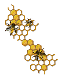 Vector Bee And Honeycombs Vozeli Com