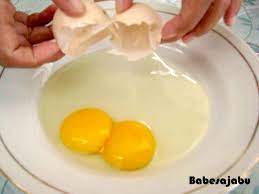 Wow Ada Proses Telur Berkuning Dua Babesajabu