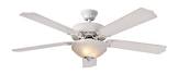 Preston Ceiling Fan, 5-Blade, 52-in For Living