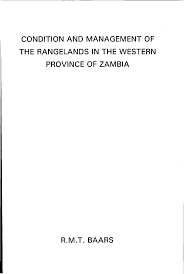 Image result for Elionurus platypus