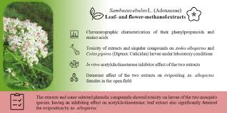 Image result for Leptochloa uniflora