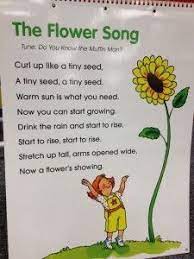 Preschool Song About Growing A Flower Plus A Few Other Fun Activities On The Gardening Theme Preschool Songs Spring Preschool Classroom Songs