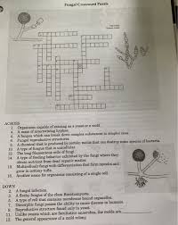 We did not find results for: Fungal Crossword Puzzle Iii Belan00 Ethod Across 1 Chegg Com