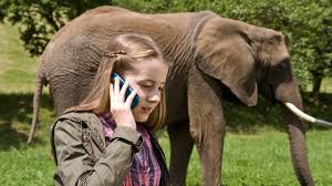 Pin Von Jana Hochbach Auf Tiere Bis Unters Dach Tiere Bis Unters Dach Tiere Elefant