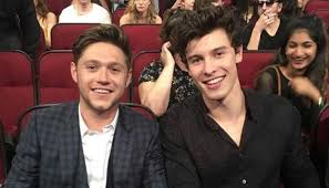 Niall Horan SURPREND Shawn Mendes! La foule devient FOLLE! - Imagen principal del artículo