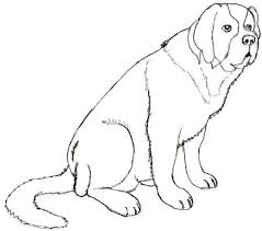 Do you want to learn how to draw a cube or how to draw boxes. How To Draw A Dog Easy How To Wiki 89