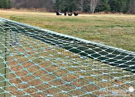 Try using it to sculpt a dragonfly or another animal, and display it in your yard. Choosing The Right Fencing For Your Chicken Coop Run Or Garden Fresh Eggs Daily